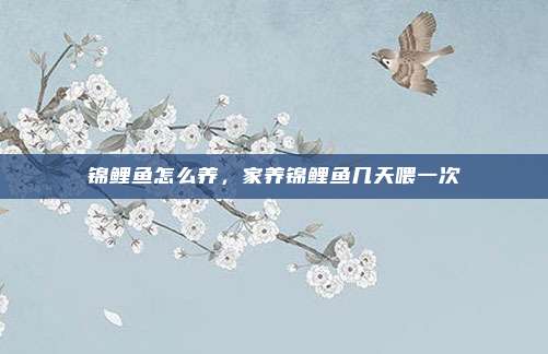 锦鲤鱼怎么养,家养锦鲤鱼几天喂一次