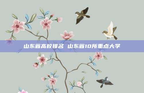 山东省高校排名 山东省10所重点大学