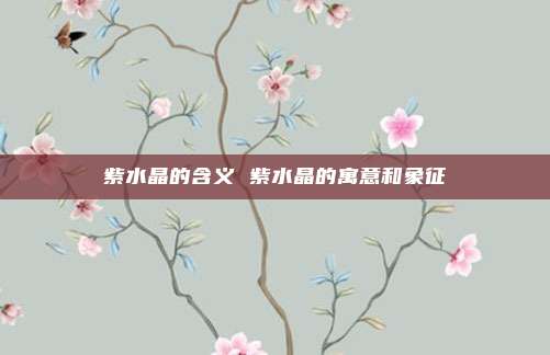 紫水晶的含义 紫水晶的寓意和象征