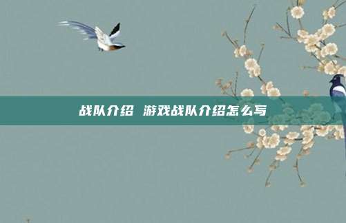 战队介绍 游戏战队介绍怎么写