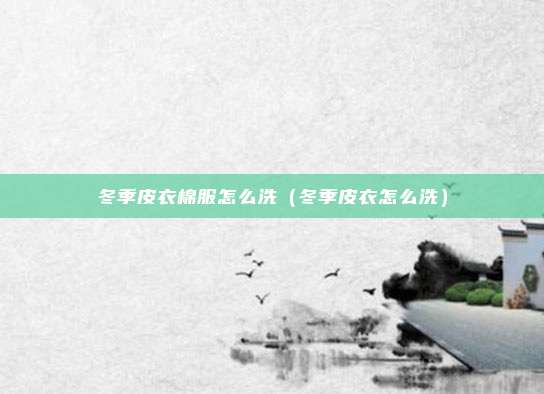 冬季皮衣棉服怎么洗（冬季皮衣怎么洗）