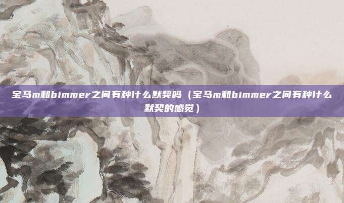 宝马m和bimmer之间有种什么默契吗（宝马m和bimmer之间有种什么默契的感觉）