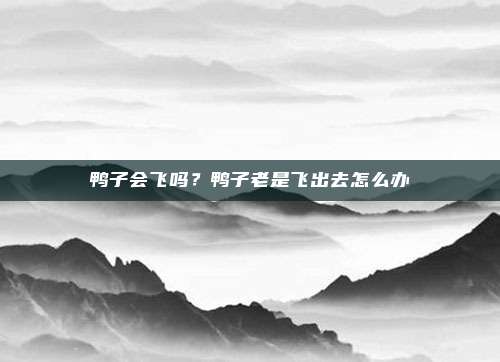鸭子会飞吗?鸭子老是飞出去怎么办