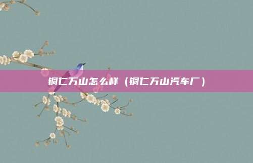铜仁万山怎么样（铜仁万山汽车厂）