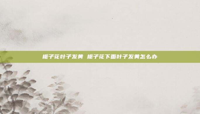 栀子花叶子发黄 栀子花下面叶子发黄怎么办