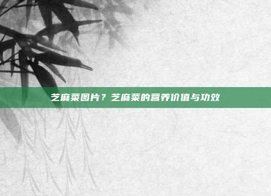 芝麻菜图片？芝麻菜的营养价值与功效