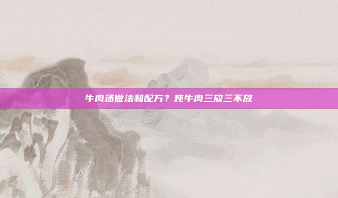 牛肉汤做法和配方?炖牛肉三放三不放