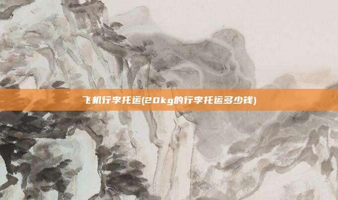 飞机行李托运(20kg的行李托运多少钱)