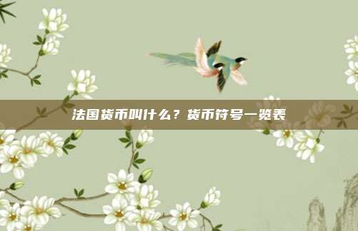 法国货币叫什么?货币符号一览表