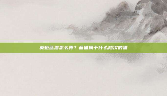 英短蓝猫怎么养？蓝猫属于什么档次的猫