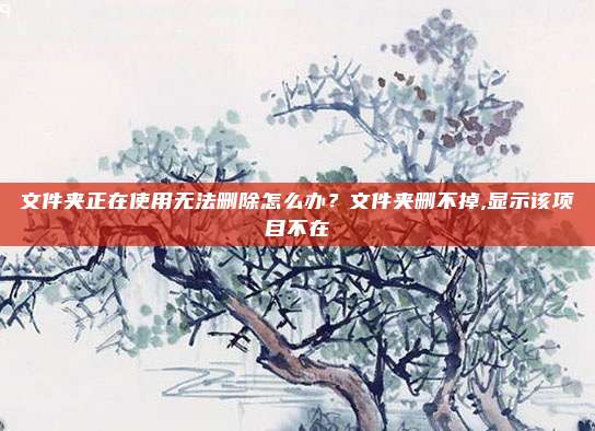 文件夹正在使用无法删除怎么办?文件夹删不掉,显示该项目不在