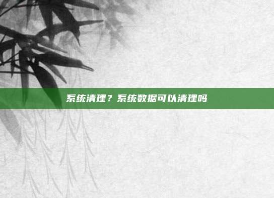 系统清理?系统数据可以清理吗