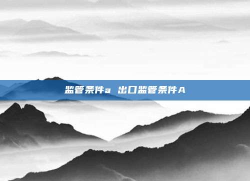 监管条件a 出口监管条件A