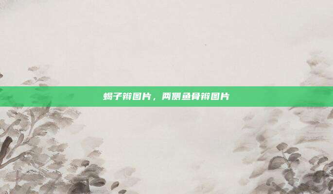蝎子辫图片，两侧鱼骨辫图片