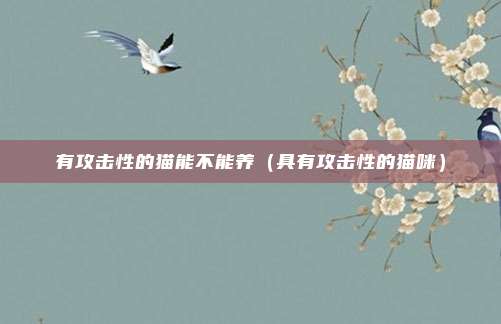 有攻击性的猫能不能养（具有攻击性的猫咪）