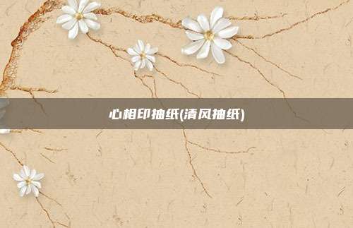 心相印抽纸(清风抽纸)