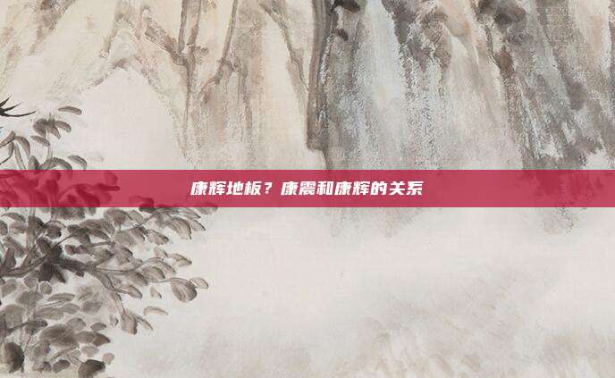 康辉地板?康震和康辉的关系