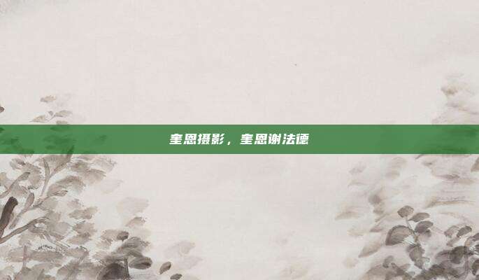 奎恩摄影,奎恩谢法德