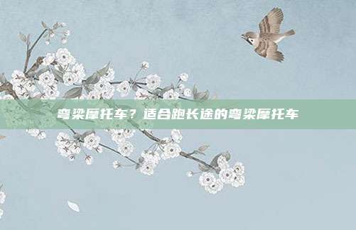 弯梁摩托车？适合跑长途的弯梁摩托车