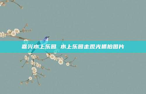 嘉兴水上乐园 水上乐园走观光抓拍图片