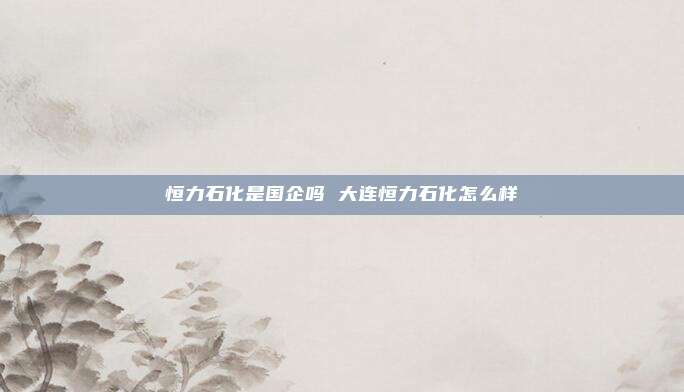 恒力石化是国企吗 大连恒力石化怎么样