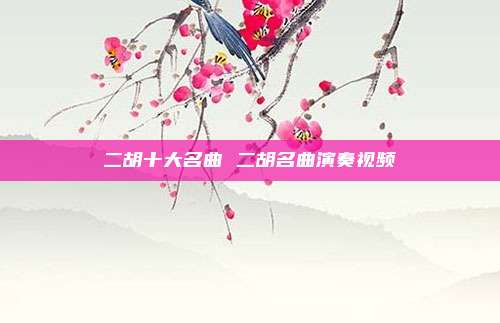 二胡十大名曲 二胡名曲演奏视频