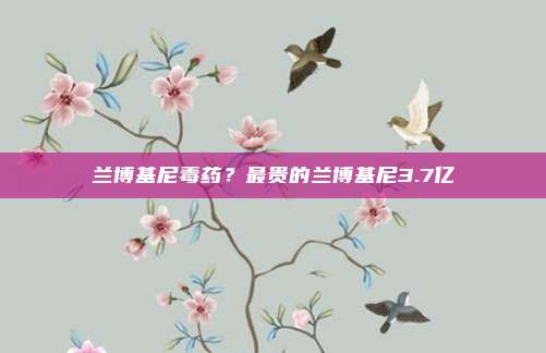 兰博基尼毒药?最贵的兰博基尼3.7亿