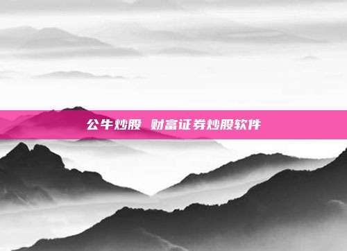 公牛炒股 财富证券炒股软件