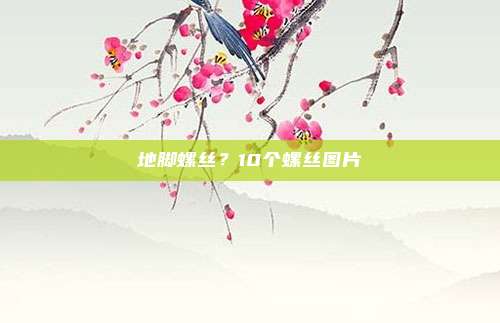 地脚螺丝?10个螺丝图片