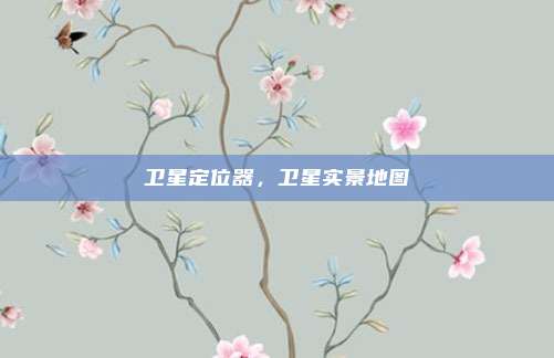 卫星定位器,卫星实景地图