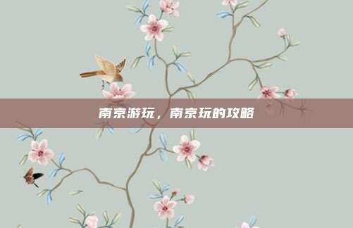 南京游玩,南京玩的攻略
