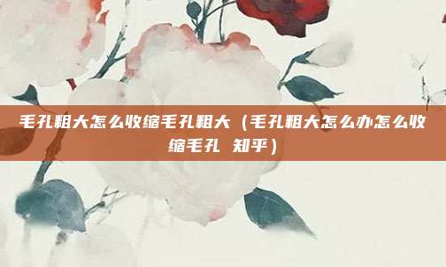 毛孔粗大怎么收缩毛孔粗大（毛孔粗大怎么办怎么收缩毛孔 知乎）