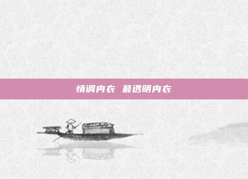 情调内衣 最透明内衣