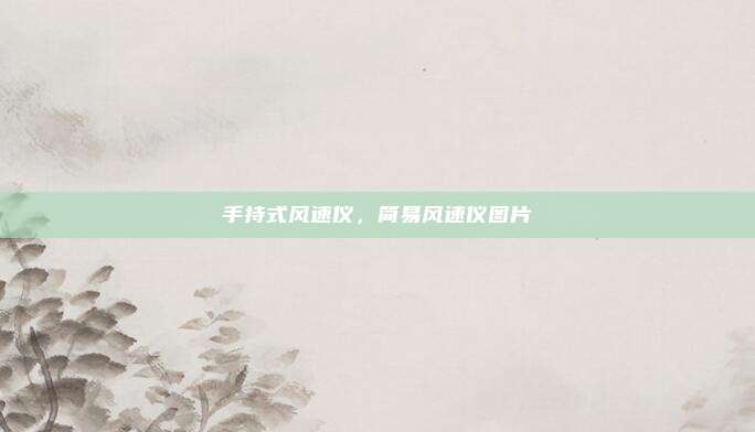 手持式风速仪,简易风速仪图片