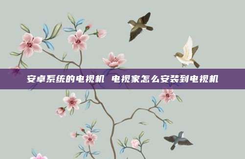 安卓系统的电视机 电视家怎么安装到电视机