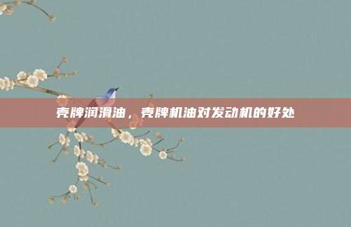 壳牌润滑油，壳牌机油对发动机的好处