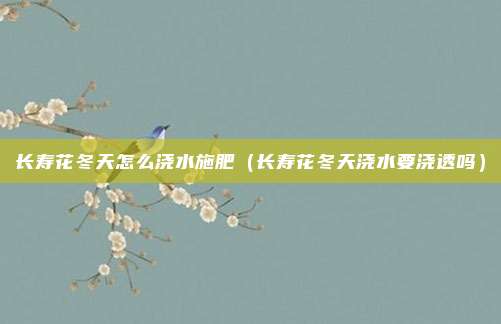 长寿花冬天怎么浇水施肥（长寿花冬天浇水要浇透吗）