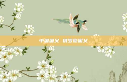中国国父 俄罗斯国父