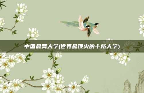 中国最美大学(世界最顶尖的十所大学)