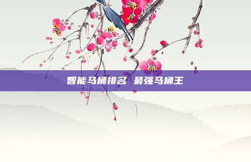 智能马桶排名 最强马桶王
