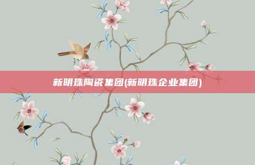 新明珠陶瓷集团(新明珠企业集团)