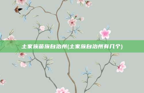 土家族苗族自治州(土家族自治州有几个)
