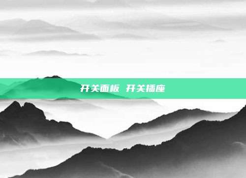 开关面板 开关插座