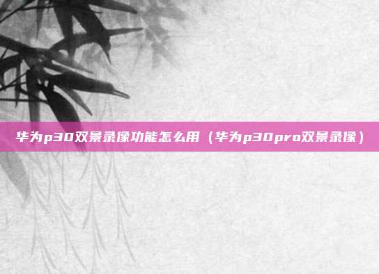 华为p30双景录像功能怎么用(华为p30pro双景录像)