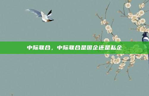 中际联合,中际联合是国企还是私企