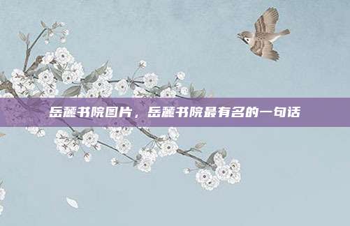 岳麓书院图片，岳麓书院最有名的一句话