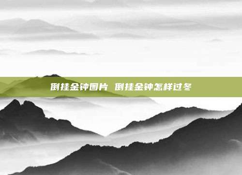 倒挂金钟图片 倒挂金钟怎样过冬