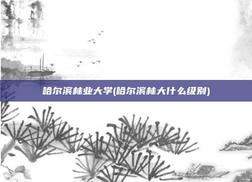 哈尔滨林业大学(哈尔滨林大什么级别)