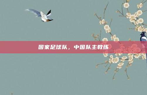 国家足球队，中国队主教练