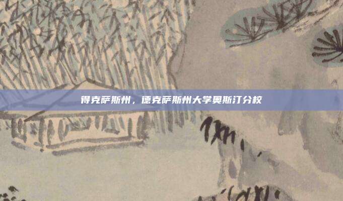 得克萨斯州，德克萨斯州大学奥斯汀分校